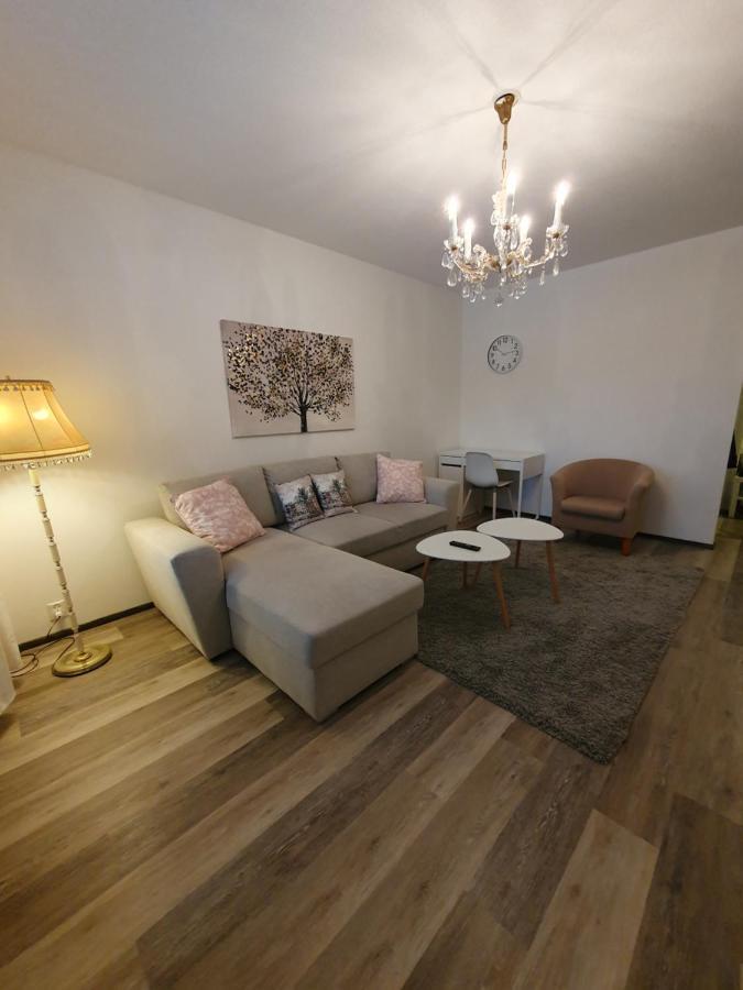 Kansa City Apartment - Wi-Fi - Sauna 罗瓦涅米 外观 照片